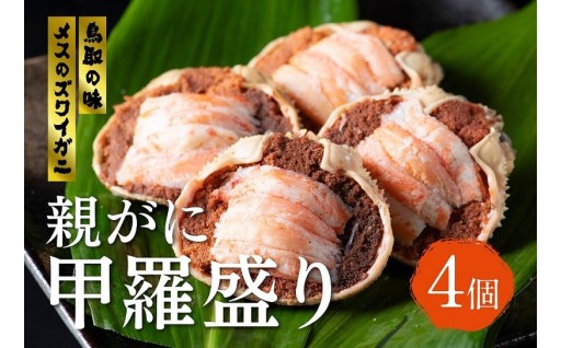 【殻剥き不要！】メスのズワイガニ「親がに」甲羅盛り4個セット