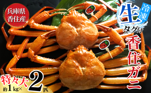 🦀✨香住ガニの最高峰！特々大サイズを贅沢に味わいませんか？✨🦀