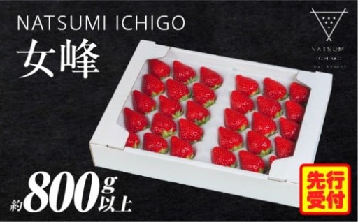 🍓NATSUMI ICHIGO 女峰 約800g以上（2026年1月～6月配送）🍓