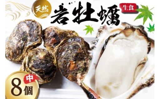 志賀町 ふるさと納税 ヨコタ礁天然岩カキ直売