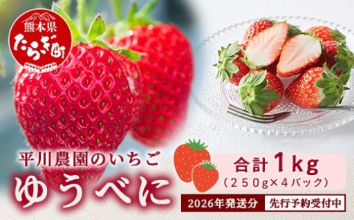【2026年2月～出荷】いちご ゆうべに 1kg (250g×4パック) 