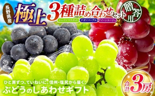 【先行予約】贈答用 信州産 葡萄【詰め合わせ】3房 【シャインマスカット、ナガノパープル、クイーンルージュ®】 