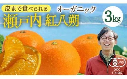 「食べた瞬間から元気になれる果物です」「丁寧に育てたものをいただけて嬉しいです」