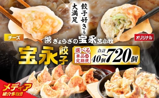 【ついに!!】大人気の宝永餃子に定期便が登場🎊