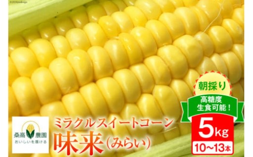 産地直送！鮮度抜群のトウモロコシをお届け！