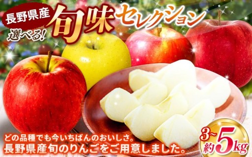 【2026年 先行予約】選べる！信州産 旬味 りんご≪ サンふじ or おまかせ or 訳あり≫ 