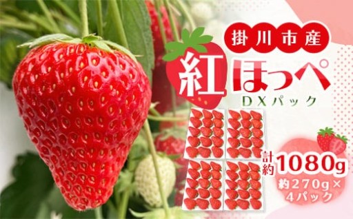 いちご・紅ほっぺ DXパック(4パック入)