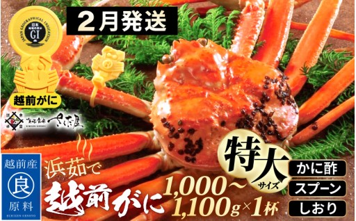 【特大サイズ】大満足！獲れたて越前がにを浜茹で🦀