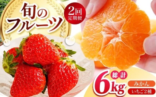 幻の熟成みかん×朝摘みいちご！