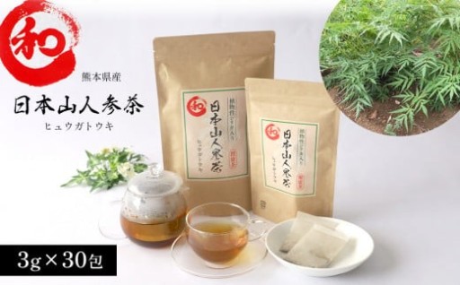 熊本県産 日本山人参茶（ヒュウガトウキ）30包
