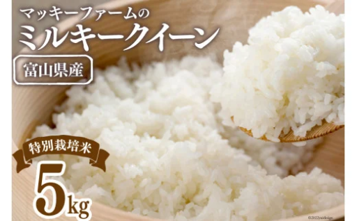 令和7年 特別栽培米 ミルキークイーン