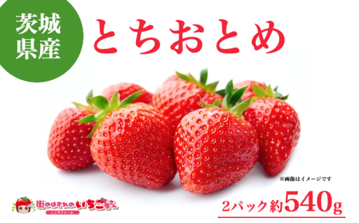 つくば市の豊かな土壌で育てた自慢のとちおとめ🍓🍓