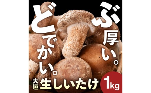 ＼分厚い どでかい。噛むほど、旨い。／