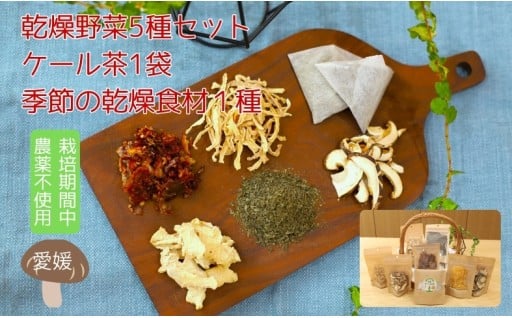 チョイス限定！乾燥野菜5種セット🍄 