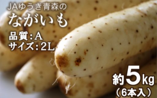 青森県特産ながいも　A2L（6本入）約5kg