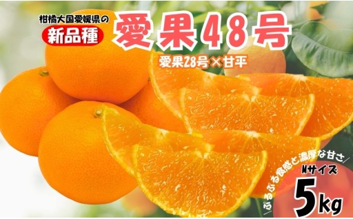 愛媛県オリジナル新品種！愛果48号🍊5kg🍊Mサイズ 