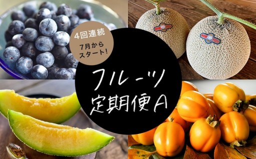 フルーツ定期便A旬の美味しい果物を毎月1種全4回