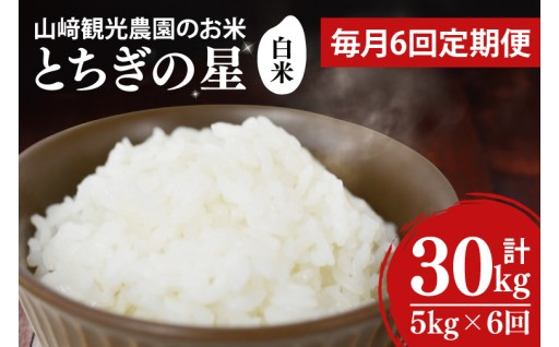 栃木県益子町 とちぎの星 5kg 年6回 定期便