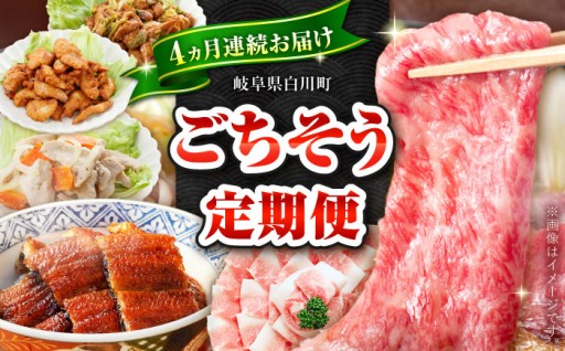【全4回】肉！うなぎ！ 白川町のごちそう定期便