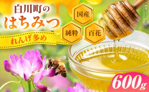 【風邪が流行する時期に】百花はちみつ 600g