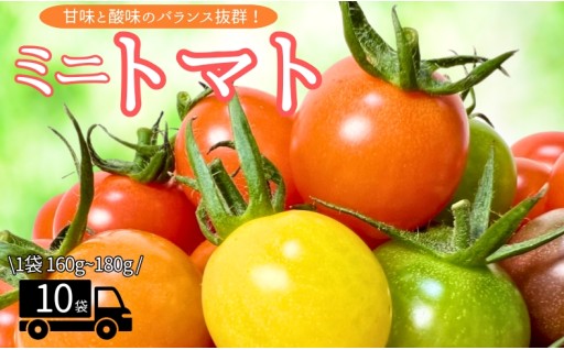 【締め切り間近】🍅甘さと酸味のバランスが最高！食べ比べミニトマト10袋セット🍅
