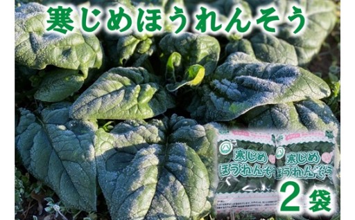 寒じめほうれんそう 約210g×2袋