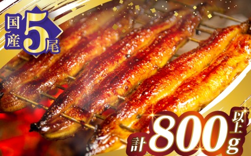 【宮崎県都農町】都農町自慢の返礼品🎁『うなぎ蒲焼5尾』✨