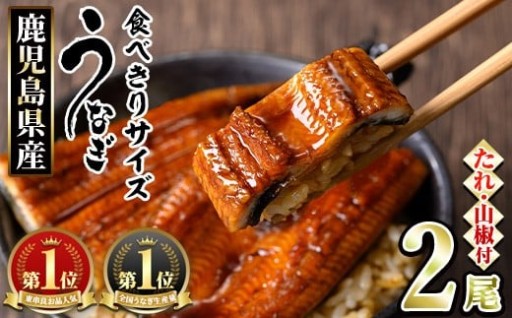 ＜食べきりサイズ！＞東串良町のうなぎ蒲焼(無頭)(計2尾・計約200g・タレ、山椒付)