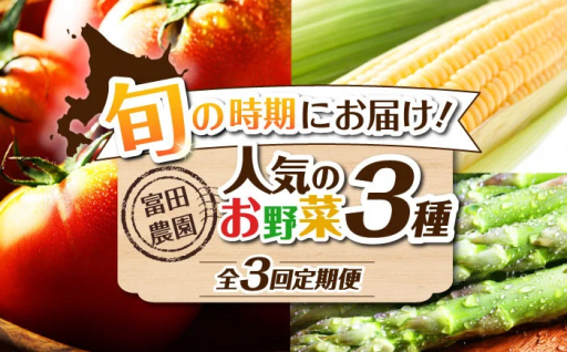 【人気のお野菜全3種！】旬のお野菜 定期便 
