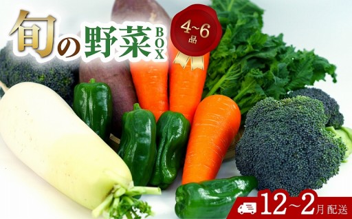 旬の野菜 詰め合わせセット 【常温便】