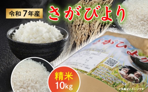＼新登場／令和7年産 さがびより 10kg 精米【数量限定】