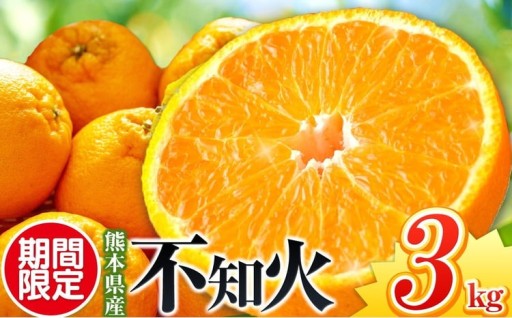 【先行予約】【秀品】不知火 3kg