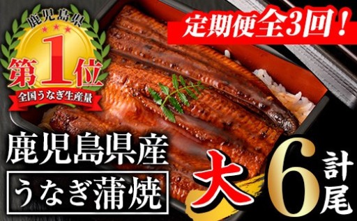 鹿児島県産うなぎ蒲焼セット＜上＞