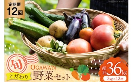 新鮮なこだわり野菜のセットを1年間