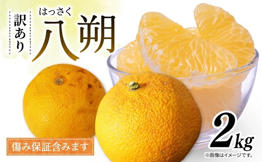 訳あり八朔 2kg 傷み補償分込み