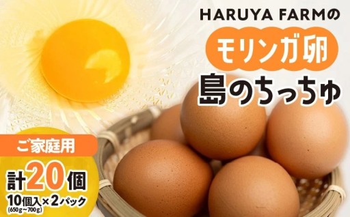 【ご家庭用】HARUYA FARMのモリンガ卵「島のちっちゅ」