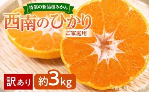 寄附額改定／【訳あり 】みかん 西南のひかり　ご家庭用　約3kg【2024-12月上旬～2025-1月上旬配送】
