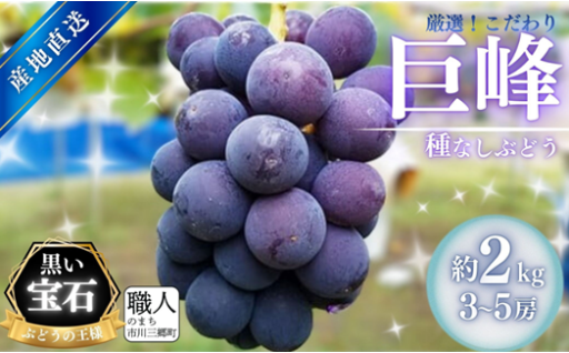 朝採り！タネなし 巨峰　2kg箱