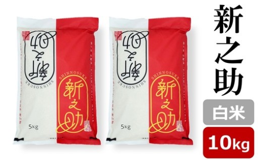 【NEW】令和7年産 新之助 白米 10kg