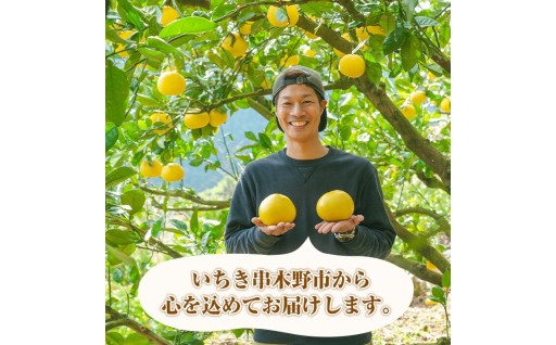 磯部農園のサワーポメロ 8kg 箱バラ詰め（12玉～22玉）L～3L