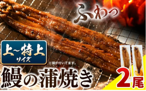 職人が丹念に焼き上げました！鰻の蒲焼２尾