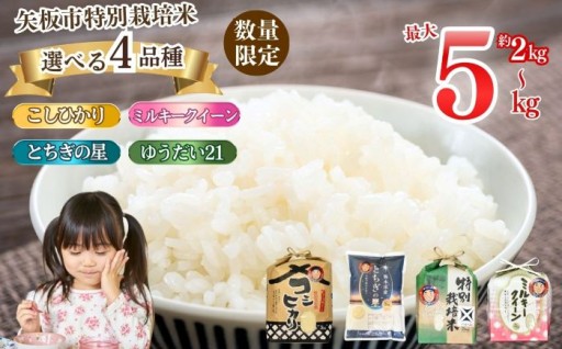 選べる白米4品種！