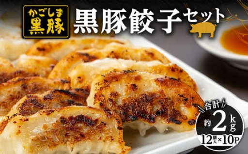 自慢の黒豚を使った餃子をセットでお届けします🚚💨