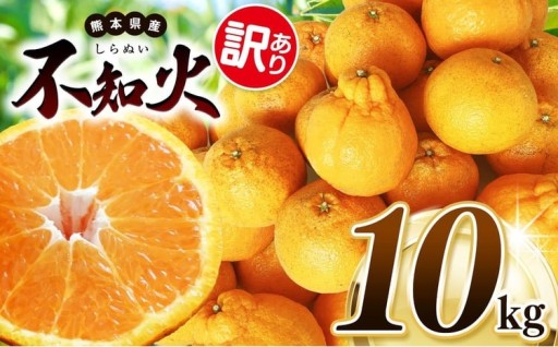 【 先行予約 】 訳あり 不知火 約 10kg 池田ファーム