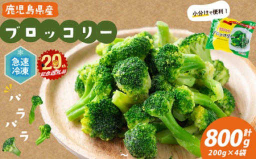 【志布志市制20周年記念】鹿児島県産 冷凍ブロッコリー＜計800g＞(200g×4袋) 
