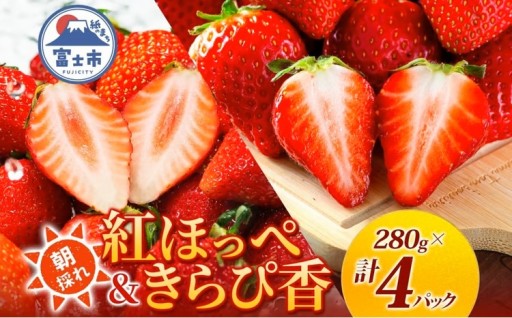 期間限定 富士市産 いちご 2種セット 紅ほっぺ きらぴ香 各2P [sf123-006]