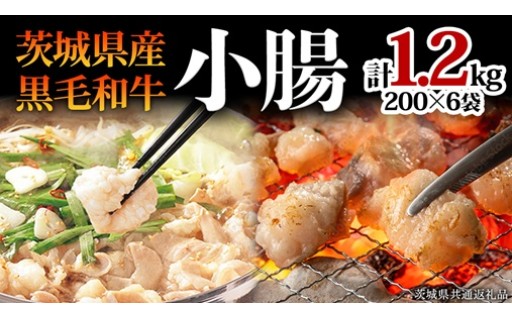 ＼国産牛の贅沢ホルモン／ 藤井商店の黒毛和牛小腸 1.2kg（200g×6パック）