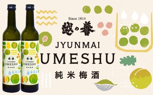 本格日本酒仕込み 純米梅酒 500ml×2本