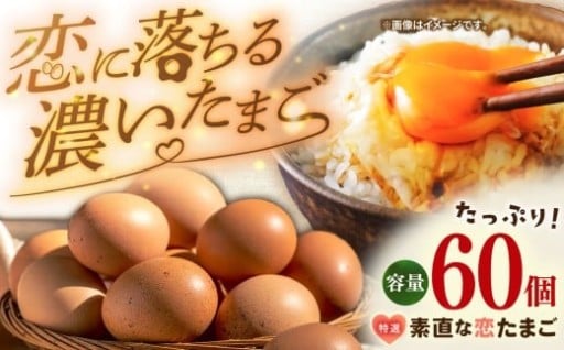 【国産鶏】ぷりぷりな黄身が濃厚！「恋たまご」60個