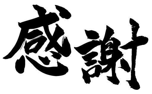 【祝・二冠達成！】八代市の若鶏もも切身